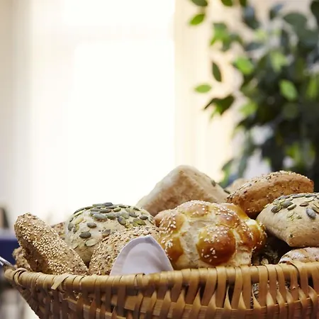 诺蒂卡弗利森霍夫酒店 酒店