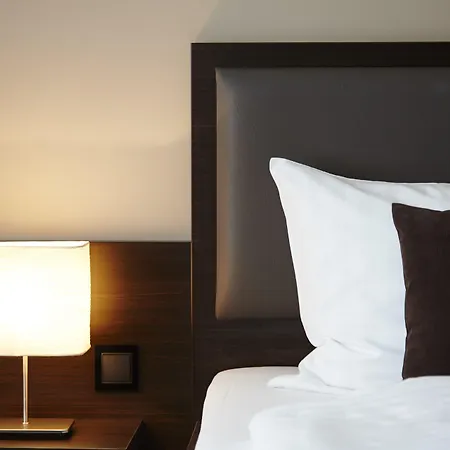 诺蒂卡弗利森霍夫酒店 4* 比苏姆